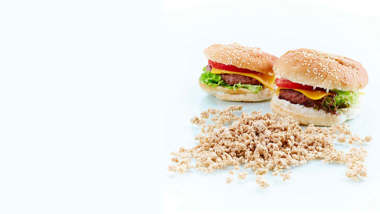 Zwei Burger und TVP Schnetzel