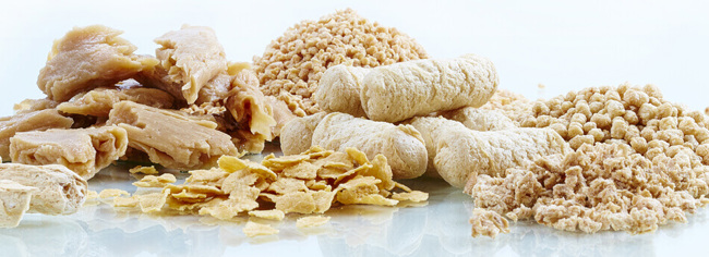 Coperion_Plant_Based_Proteins