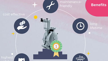 WZK Diverter Valve infographic teaser image